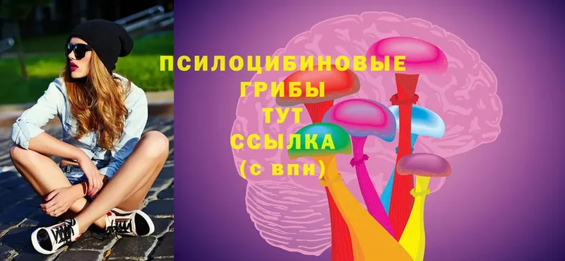 Псилоцибиновые грибы Psilocybe  Галич 